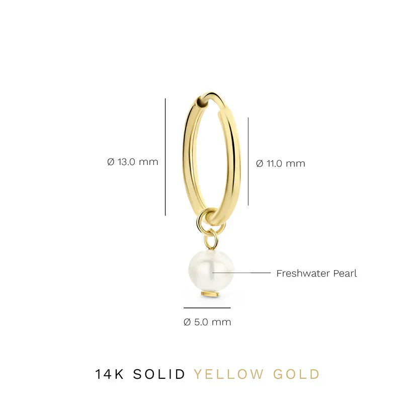 Delia Crest Örhängen | Guld