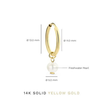 Delia Crest Örhängen | Guld